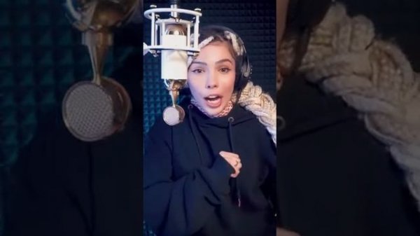 Грибы грибочки