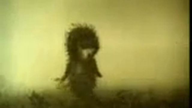Видео ёжик в кумаре смотреть онлайн