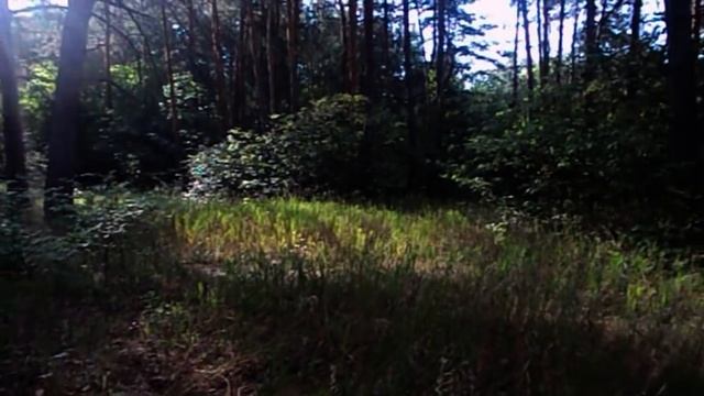 САМВЕЛ ПОДСТАВИЛ ИГОРЯ. КРУЖЕВНЫЕ ТРУ&Ы В ВАННОЙ СТАЛИНКИ