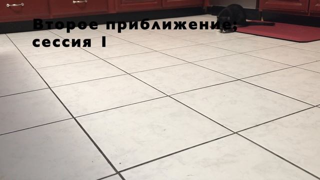 Шейпинг первые этапы смотреть онлайн
