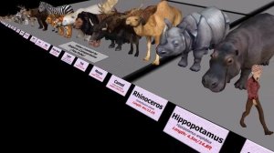 Animal Size Comparison 3D