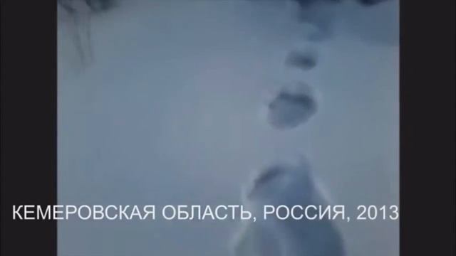 3 реальных видео со снежным человеком