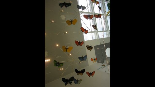 LEGO HOUSE TOUR BILLUND DENMARK - HOME OF THE BRICK смотреть онлайн