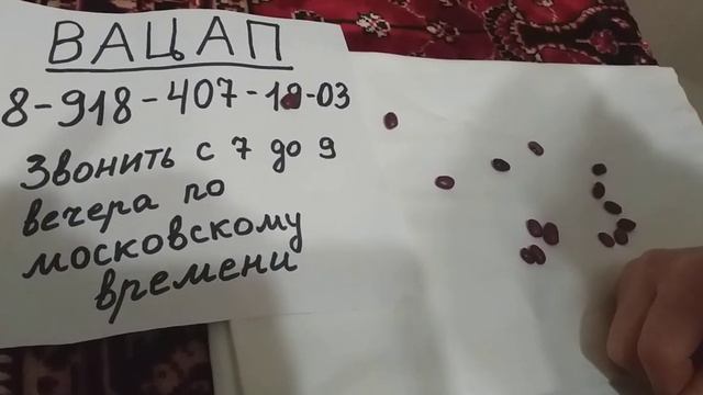 Гадание на фасоли поздравление всех женщин с 8 марта. Короткое гадание. смотреть онлайн