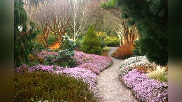 ВЕРЕСКОВЫЕ САДЫ // Heather garden смотреть онлайн