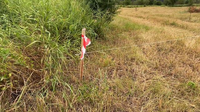 Ягода 1.2 - кто свистнул мой колышек?