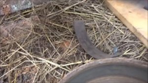 Автомобиль Лада Ларгус  замена задних тормозных колодок. В поле и на коленке. ДЕРЕВНЯ.