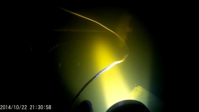 Сазан на подводной охоте смотреть онлайн