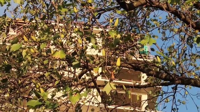 ВЛОГ: ДЕНЬ С НАМИ / ХОРОШЕЕ КАФЕ В БАТУМИ / ВЕЧЕР МОРЕ ? НАБЕРЕЖНАЯ смотреть онлайн