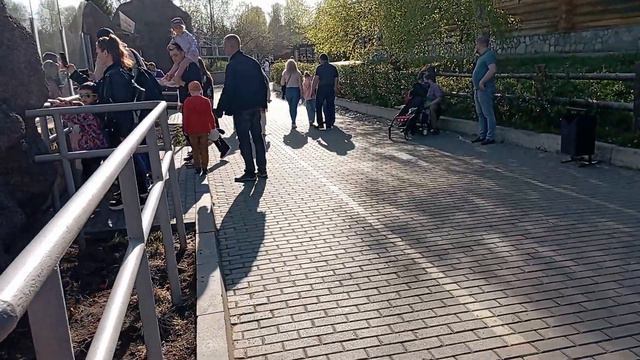 ЛЕВ Ижевский зоопарк часть 5 смотреть онлайн