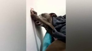 Забавные кубики. Подборка приколов. Vo60