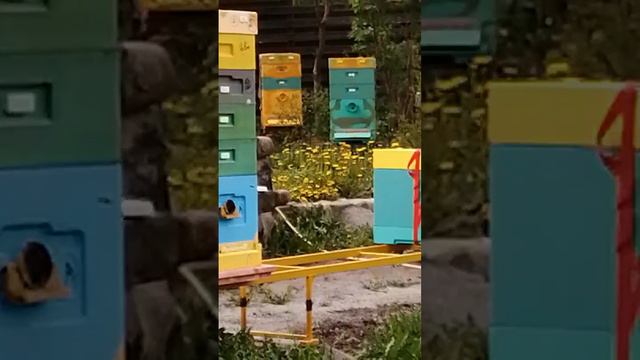 02.июня 2022 г. смотреть онлайн