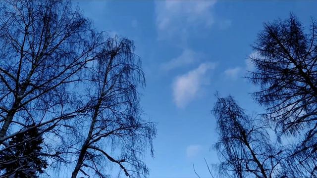 Разговор по душам. Ходили сломанные люди по планете(Ирина Самарина - Лабиринт). Читает Татьяна Н. смотреть онлайн