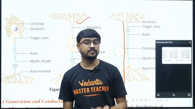 Neural control and coordination Part 1 | Class 11 Zoology | TN State Board | Ashok Sir смотреть онлайн