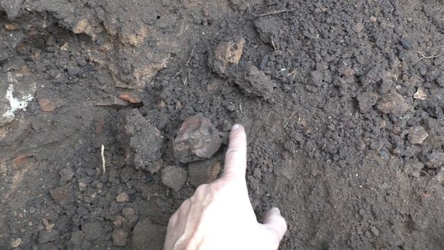 021. Заканчиваю шурф дома чиновника смотреть онлайн