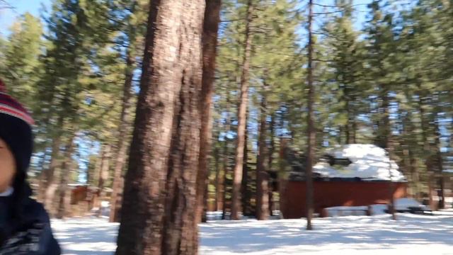 Exploring South Lake Tahoe with the Babies! | Mama Wanders: U.S.March 2017 Day 4 смотреть онлайн