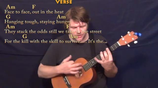 Eye of the Tiger (Survivor) Bariuke Cover Lesson with Chords/Lyrics смотреть онлайн