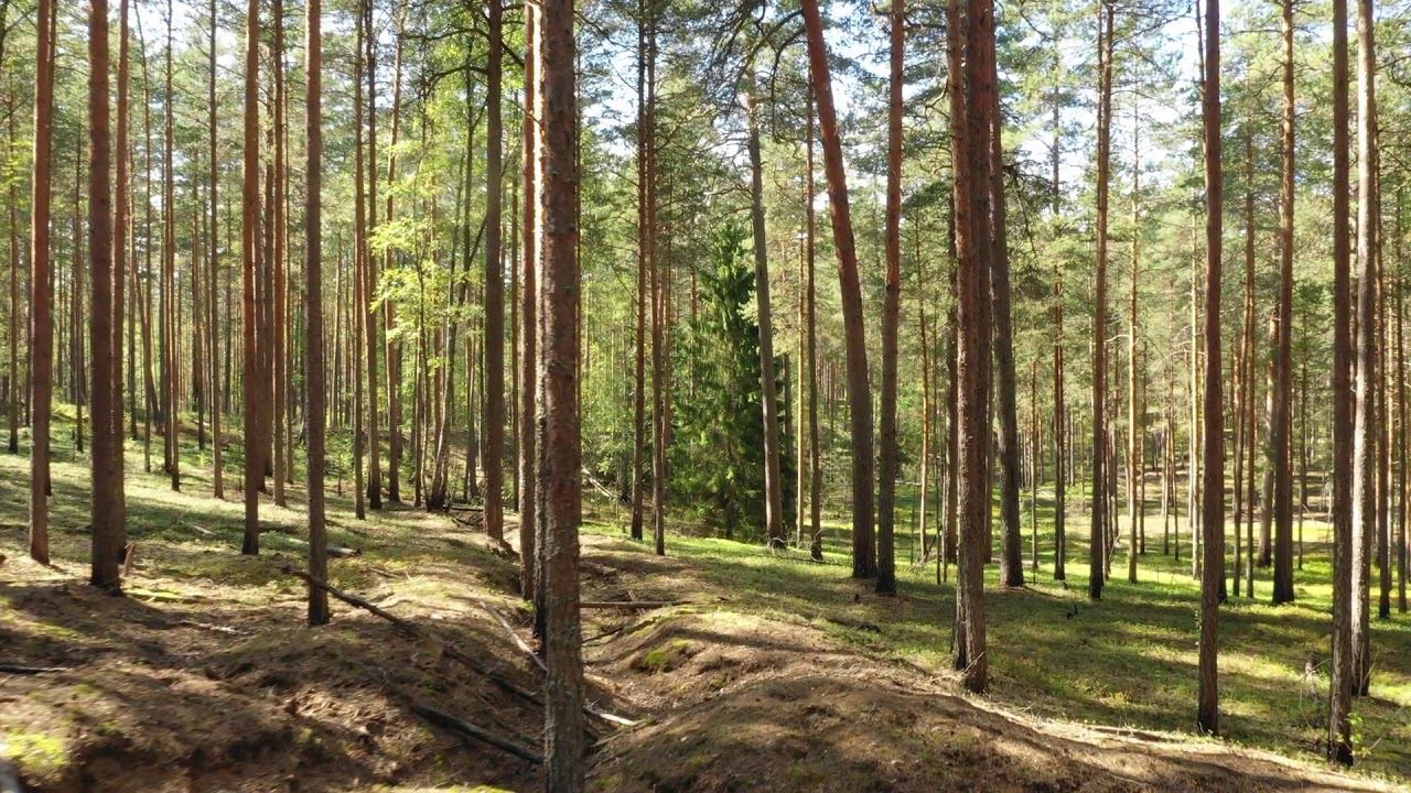 окопы