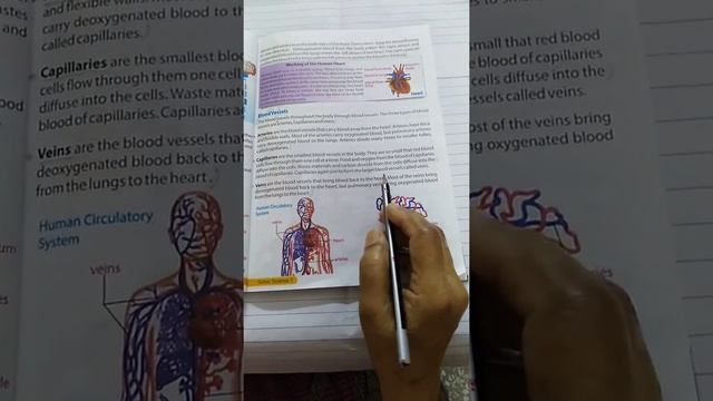 Science 7h Unit 3 Transport in Humans and Plants Q 2 смотреть онлайн