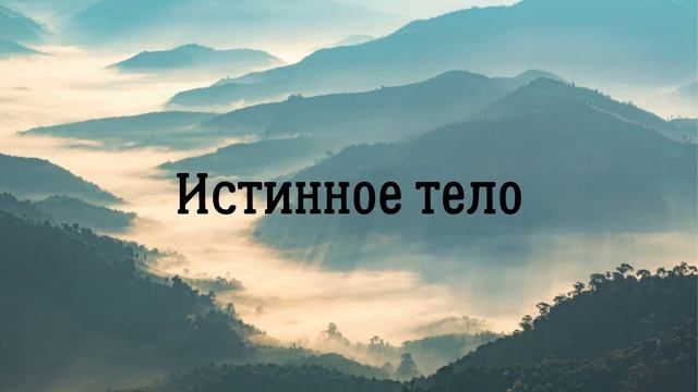 Истинное тело. Ключ к подсознанию. Юэлль Андерсон смотреть онлайн