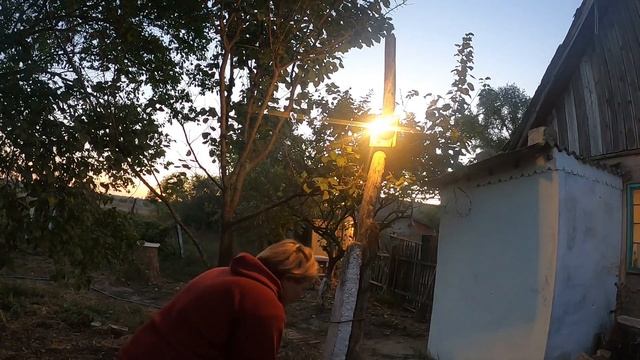 ЖИЗНЬ В ДЕРЕВНЕ / ПРИГОТОВИЛА БОРЩ /СВАРИЛА ВАРЕНЬЕ ИЗ АЙВЫ смотреть онлайн