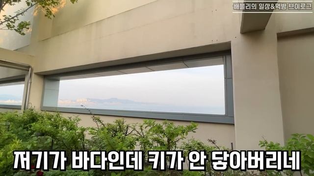 먹방브이로그? 리얼 일상브이로그! 아구찜 쿨타임 돌아옴, 회전초밥 먹방, 미카도스시, 돼지갈비에 직접 만든 비빔국수 먹방, 집밥먹방, 집밥 브이로그 ASMR MUKBANG VLO