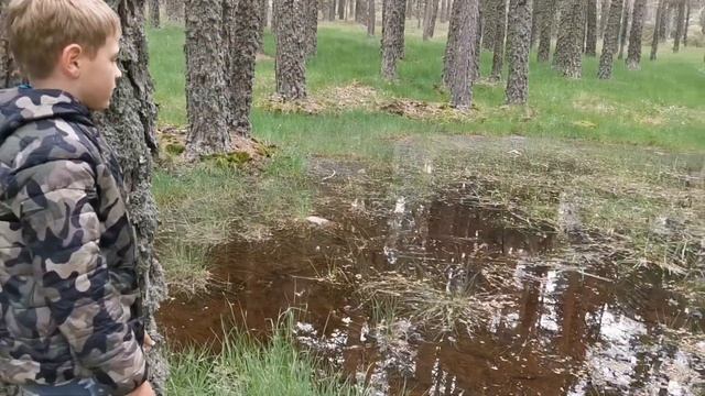Грибы в Испании / Отдых в Лесу в Испании / Camping Las Corralizas смотреть онлайн