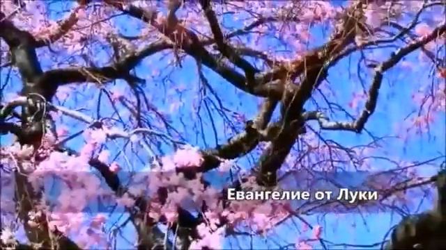 Евангелие от Луки! смотреть онлайн
