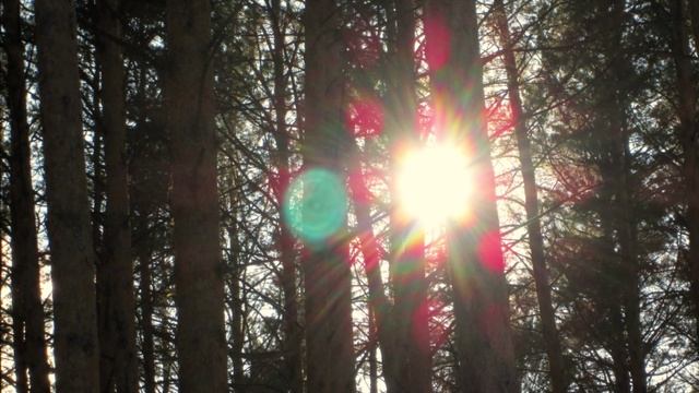 Восхождение по духовной лестнице. Этапы Пробуждения человечества.