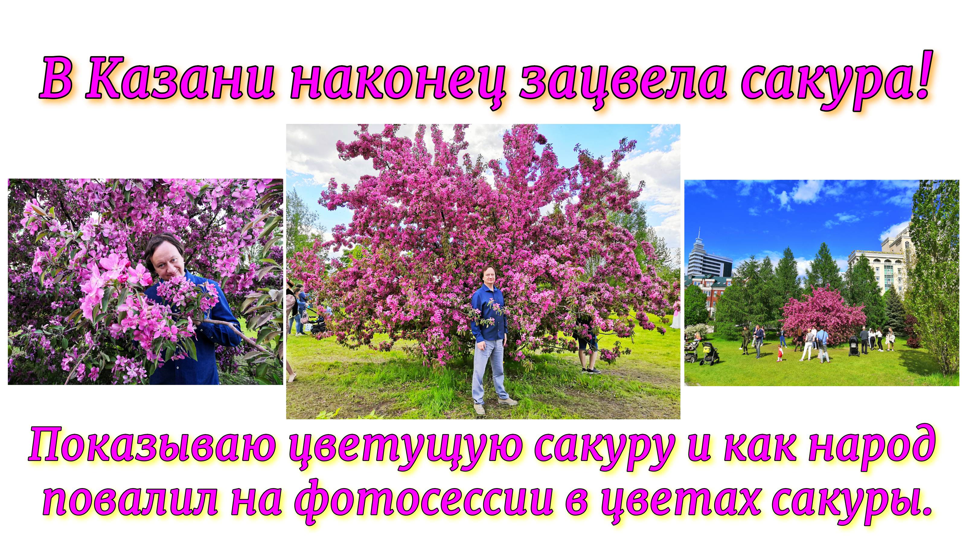 В Казани наконец зацвела сакура! Показываю сакуру и как народ повалил на фотосессии в цветах сакуры. смотреть онлайн