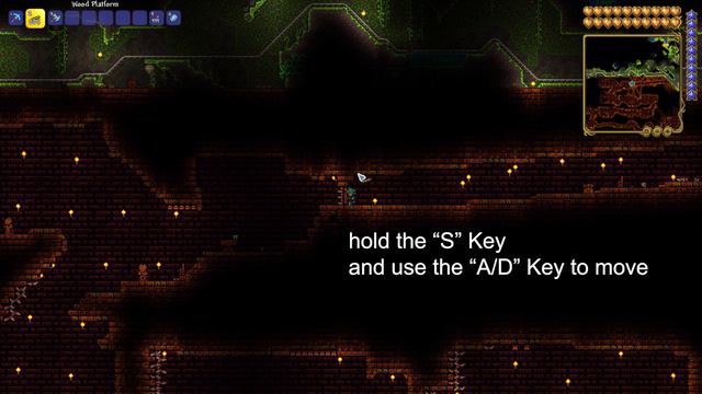 【Terraria 1.4】- How To Enter The Jungle Temple without a Key ? смотреть онлайн