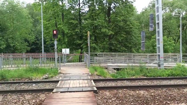 МЦД станция Водники|Электропоезд ЭД4М|Электропоезд ЭШ2-005 "Штадлер" Аэроэкспресс в Москву смотреть онлайн