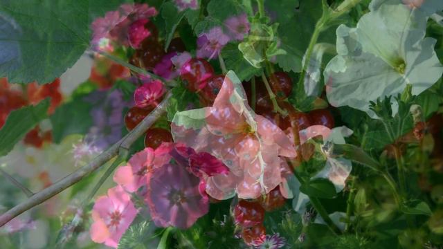 Test смотреть онлайн