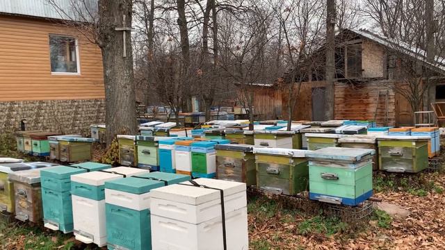 3 ноября 2020 г. смотреть онлайн