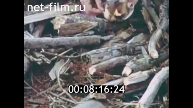1991г. река Обь. ханты. смотреть онлайн