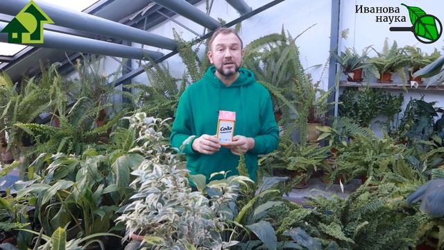МАЛЕНЬКАЯ ЛОЖЕЧКА ДЛЯ БОЛЬШОГО УРОЖАЯ смотреть онлайн