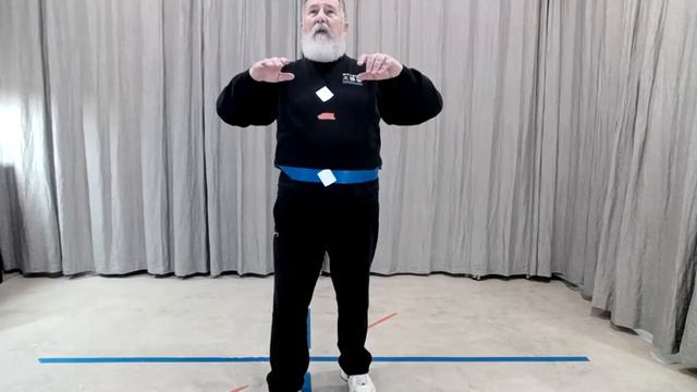ADVANCED TAIJI = XINYI & NEIGONG, MOVE 1 = Saturday, Feb 17, 2024, 11 AM PT смотреть онлайн