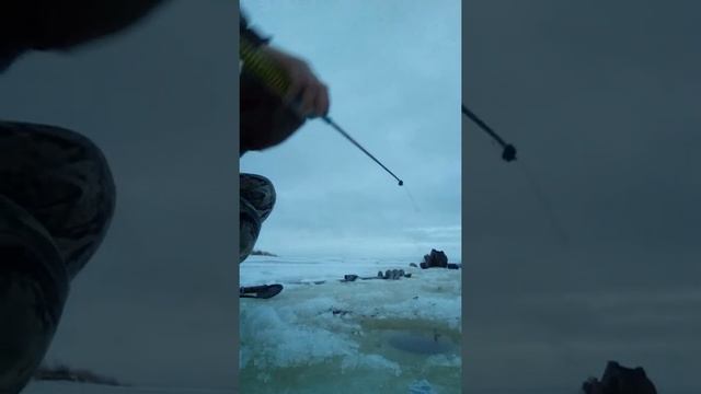 Рыбалка в северодвинске, ягорка-устье смотреть онлайн