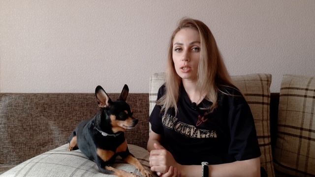 Собака в большом городе. Как научить собаку хорошо себя вести и ничего не бояться? смотреть онлайн