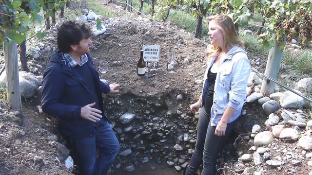 acortado Making worldclass Chardonnay in Uco Valley with Luis Reginato & Catena Zapata смотреть онлайн