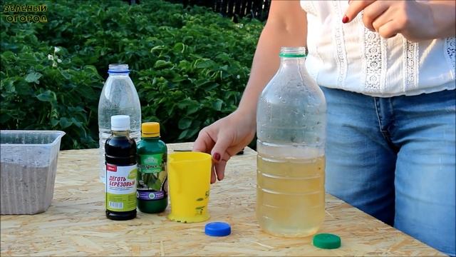 Обработайте КАРТОФЕЛЬ ЭТИМ НАТУРАЛЬНЫМ средством и забудете про КОЛОРАДСКОГО ЖУКА! смотреть онлайн