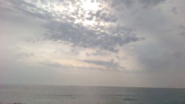 Гонки: мастерство и смелость