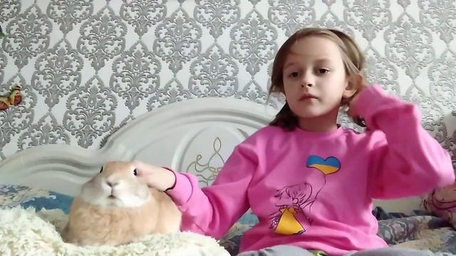 Люкс ферма 🐖🐴🐰🐐🐑🐂 смотреть онлайн