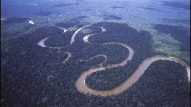 Звуки природы   Волшебная Амазонка Часть 1
