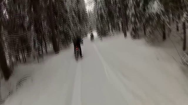 2013.01.20. Эндуро пробег. Красное озеро. 120 км. Enduro. Red Lake. 120 km. смотреть онлайн