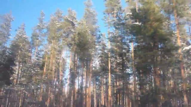 Дорога в посёлок Осьмино, Лен. обл. смотреть онлайн