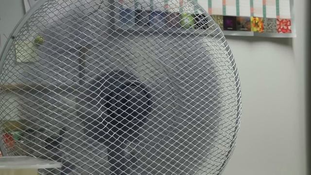 Panasonic HDC-SD800 Video Sample 3 смотреть онлайн