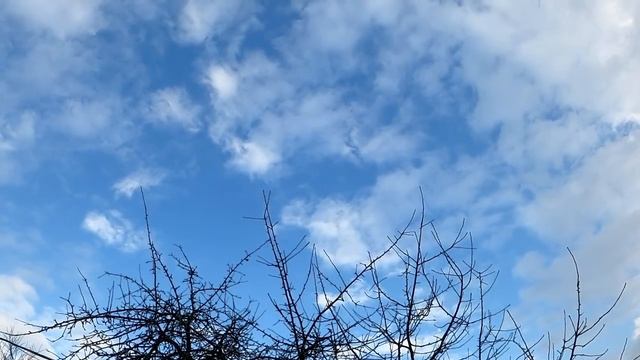 Как побороть любовную привязанность к тому, с кем быть не суждено. смотреть онлайн