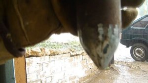 ДРЕВО Вибро насадка для уплотнения бетона.Как сделать своими руками.1.