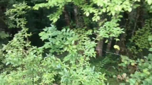 Дольмены кемпинга Назарова дача на Черном море смотреть онлайн